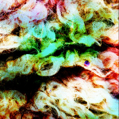 It's Wool (Demo)