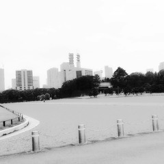 emptiness series_001_Koukyo (The Imperial Palace)-7/24_2020