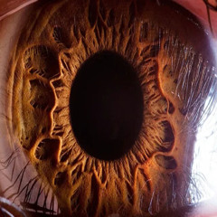 blink of an eye