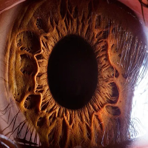 blink of an eye