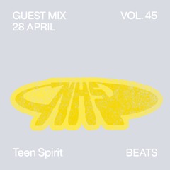 GUEST MIX VOL.45 by Teen Spirit