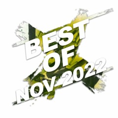 Best Of Nov2022 mixed by Dj Fibretek