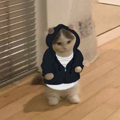 Loaded Meow Complex