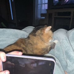 sample beat 2.22.wav