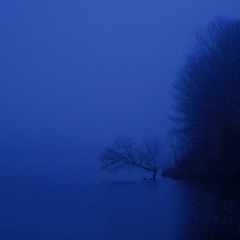 Cultivaitng Silence: Opener