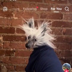 Circuit 11 7 22 Demo (1) AlterateSlower