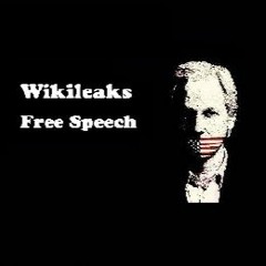 Wikileaks Free Speech