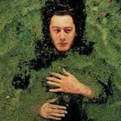 Fantaisie Militaire - BASHUNG cover (Alain Bashung / Jean Marie Fauque)