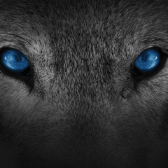 Wolf Packk(feat)SleptonShi