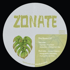 Various Artists - The Roots EP / ZON005