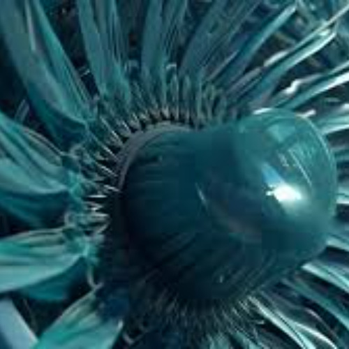 Finding The Velocity