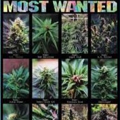 Jasper Miller - Change Ya Mind Vs Terp Parade, Techno Ed