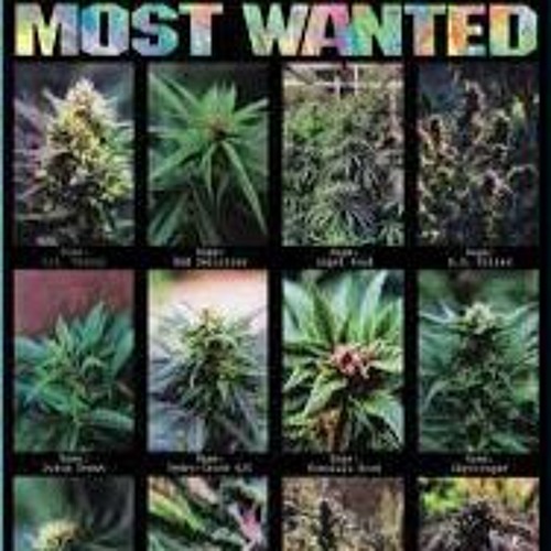 Jasper Miller - Change Ya Mind Vs Terp Parade, Techno Ed