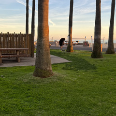 saving water (voice memo)