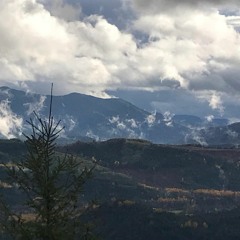 Schwarzwaldhochstraße