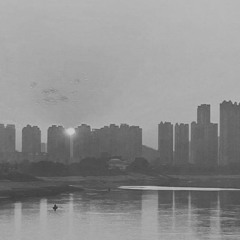 大城市(Metropolis)