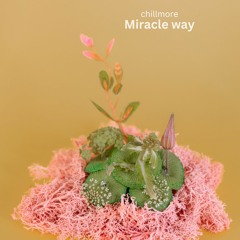 Miracle Way