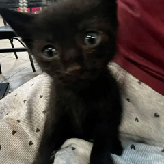 fuck u all w twoface