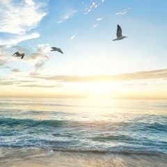 Summer Sunrise - 綺凛.kiri