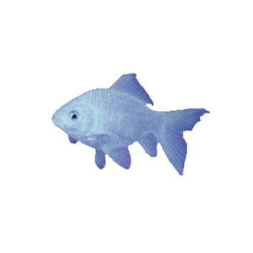 Feels / "I'm your window shopper!"- Calvin Harris (sped up)