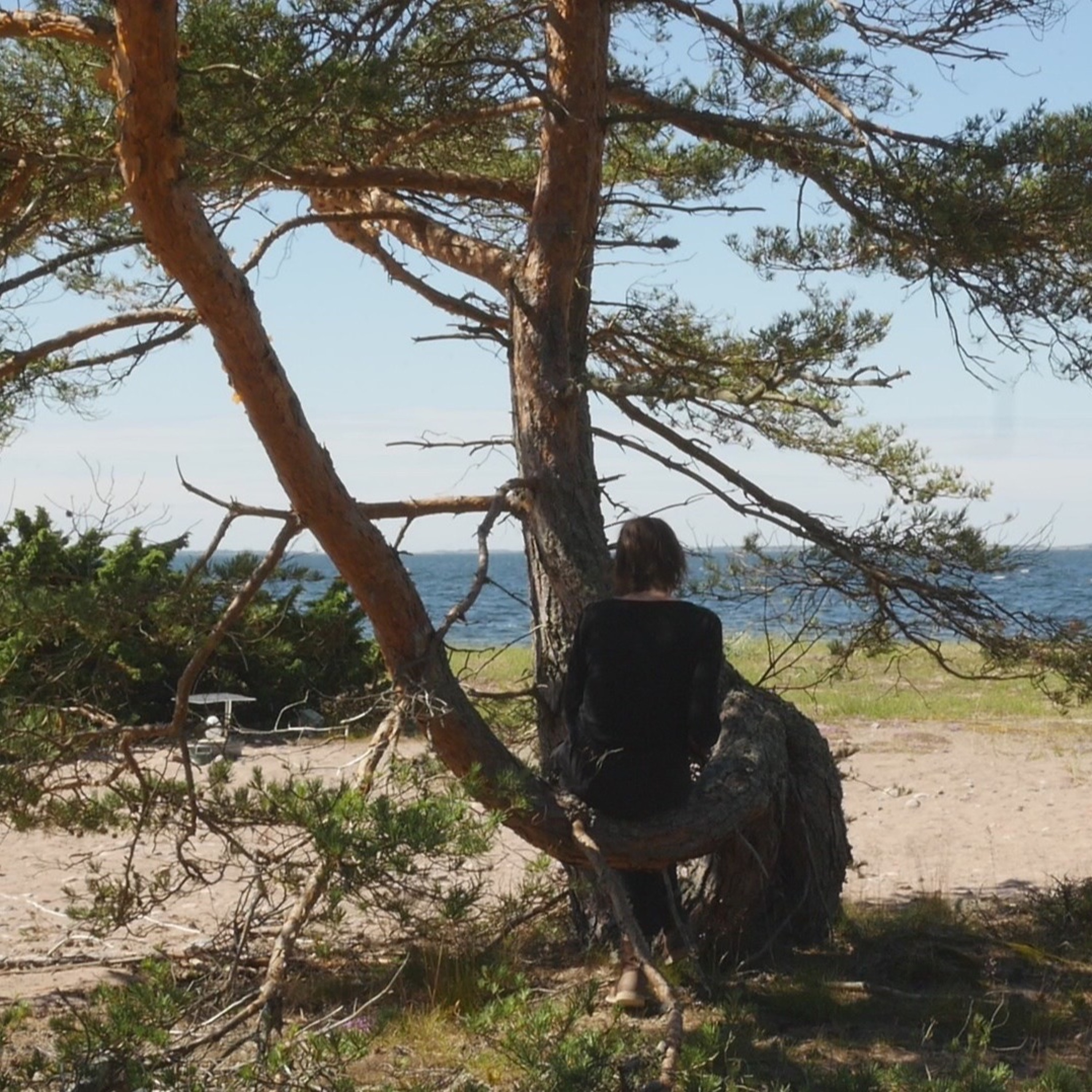 Talar med träd - 4 episode artwork