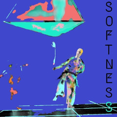 // S o f t n e s S //