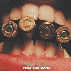 PRIM YOK SANA (feat Ellzem, Slong, Halko)