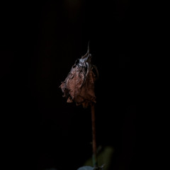 falling