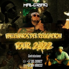 Vallenatos del Reggaeton Pt 1