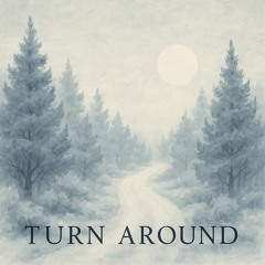 Turn Around