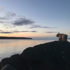 The Mariner's Song Project Promo EP