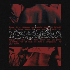 PREMIERE #815 | Nocturnerror - Distressing Chrysalis [A Flooded Need] 2020
