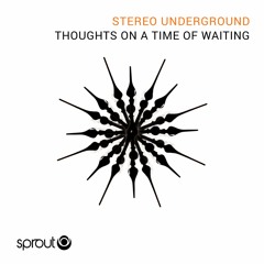 Stereo Underground - Thoughts On A Time Of Waiting ( Original Mix )