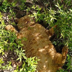 Collab 02 - 5 (v3 - 5)