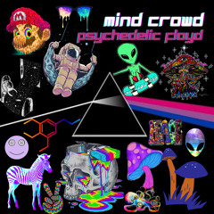 Mind Crowd - Psychedelic Floyd