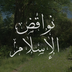 نواقض الإسلام لمحمد بن عبد الوهاب - عبد العزيز الصيني