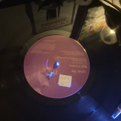 Theres a fly on my record!!!!!
