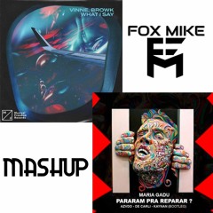 VINNE & Browk vs AZVDO, DE CARLI & Kaynan  - What I Say vs Pararam Pra Reparar (Fox Mike Mashup)