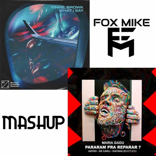 VINNE & Browk vs AZVDO, DE CARLI & Kaynan  - What I Say vs Pararam Pra Reparar (Fox Mike Mashup)