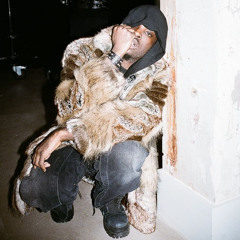 (FIMIGUERRERO IMMIGRANT FLIP )