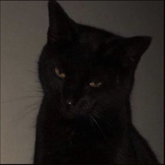 وأنـي يمـك  :(