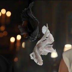 JONY & The Milan - Реки вели