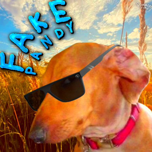 FAKE PANDY