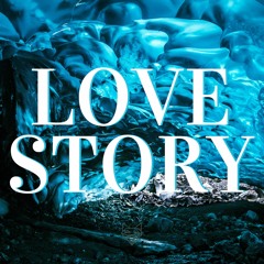Love Story ( Full Album )