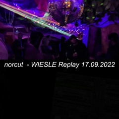 WIESLE Replay