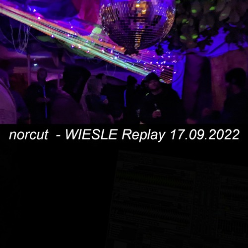 WIESLE Replay