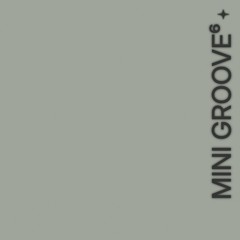 mini groove⁶