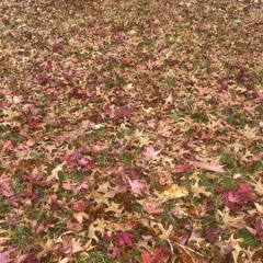 kars n siyh - go away (prod. june)