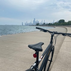 Lake Shore Perspectives