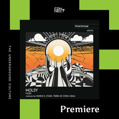 PREMIERE: Molsy - Faces (Mundo D Remix) [normtusa]